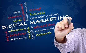 Social Media, SEO and Digital Marketing Position