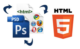 Web Designer - Entry level