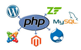 Senior Web Developer
