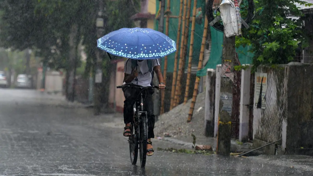details