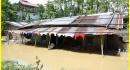 details